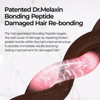 Bondex bonding remodeling line